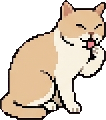 putzen